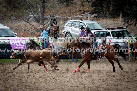 Saturday Cowboys -236
