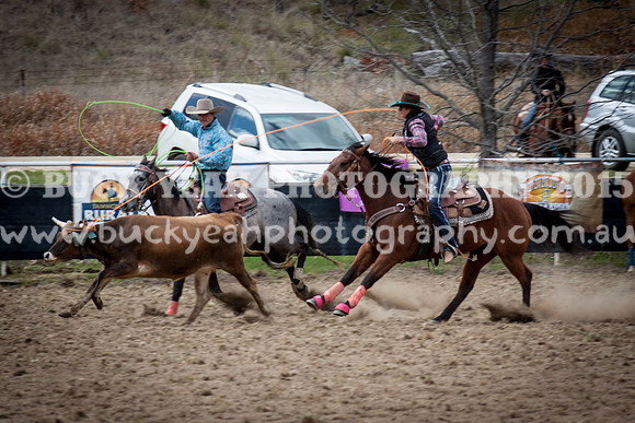 Saturday Cowboys -238