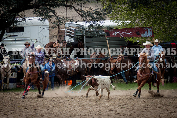 Saturday Cowboys -246