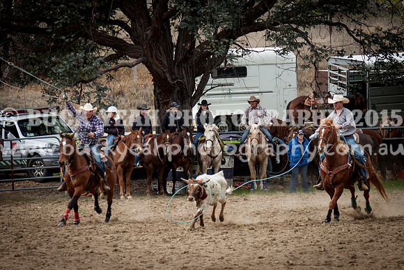Saturday Cowboys -247