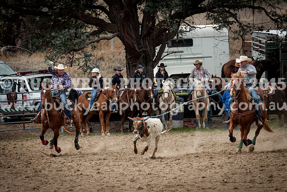 Saturday Cowboys -248