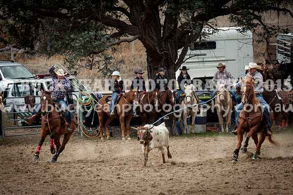 Saturday Cowboys -249