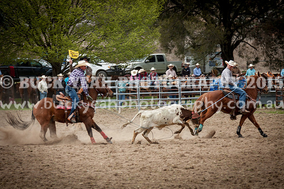 Saturday Cowboys -250
