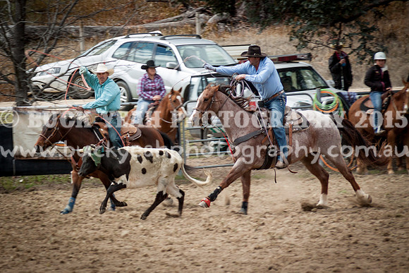 Saturday Cowboys -252