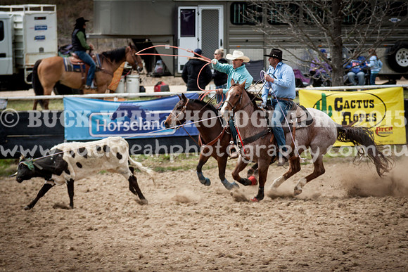 Saturday Cowboys -258