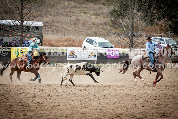 Saturday Cowboys -259