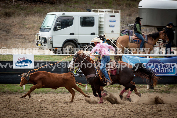 Saturday Cowboys -262