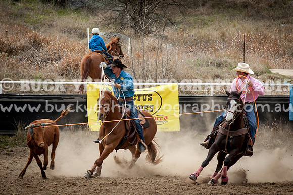 Saturday Cowboys -266