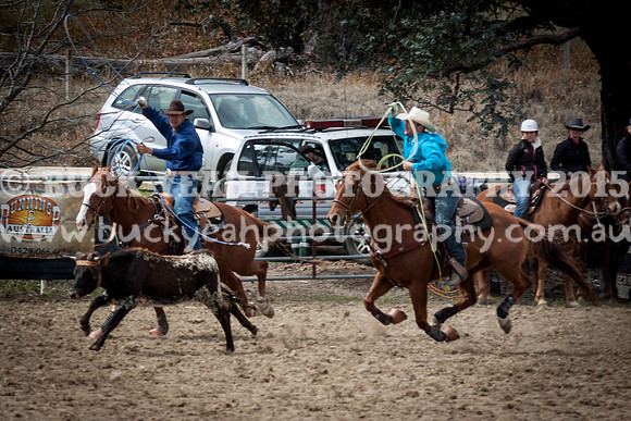Saturday Cowboys -276