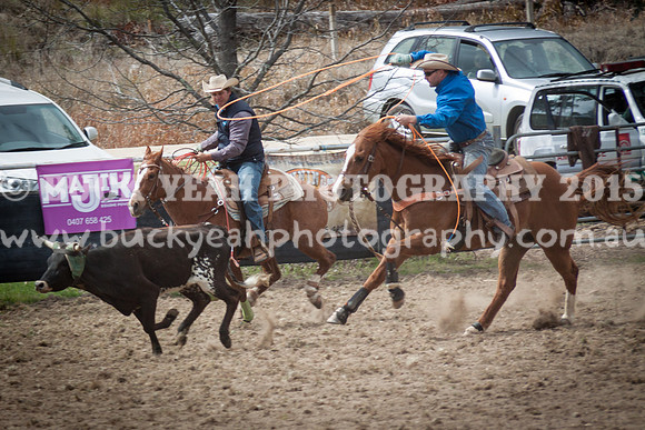 Saturday Cowboys -279