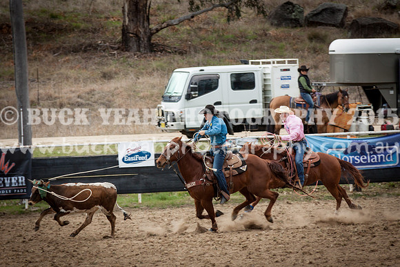 Saturday Cowboys -282