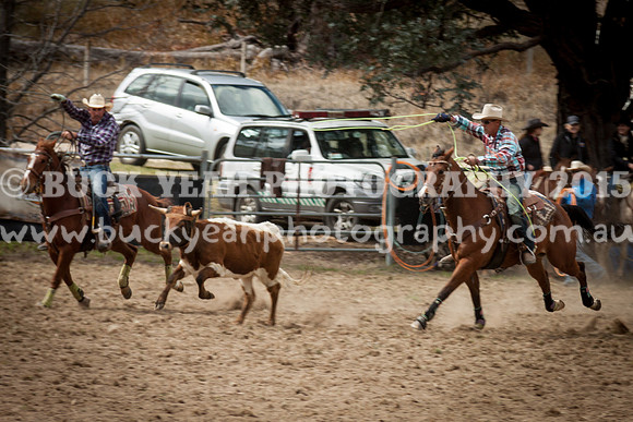 Saturday Cowboys -286