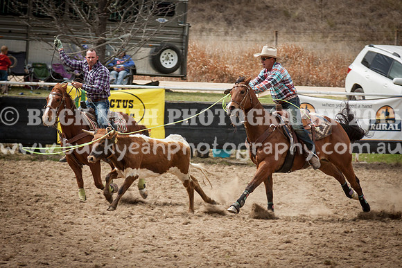 Saturday Cowboys -288