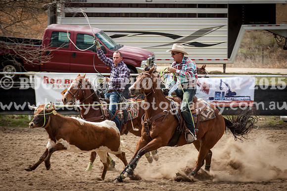 Saturday Cowboys -291