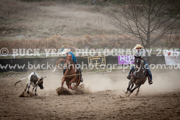 Saturday Cowboys -315