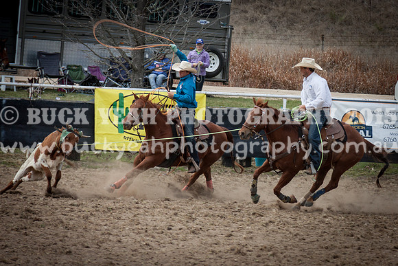 Saturday Cowboys -320
