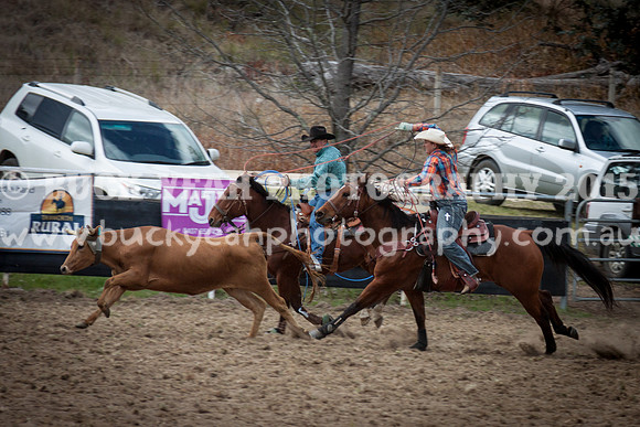 Saturday Cowboys -325