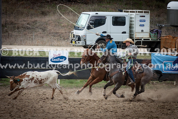 Saturday Cowboys -333