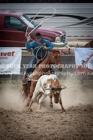 Saturday Cowboys -334