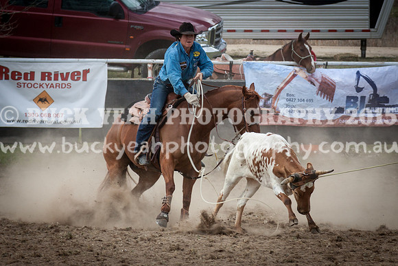 Saturday Cowboys -336