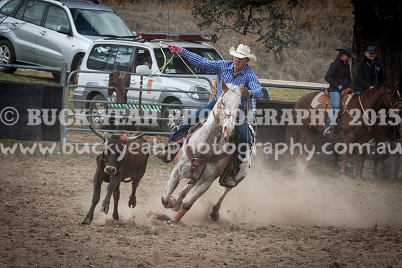Saturday Cowboys -337
