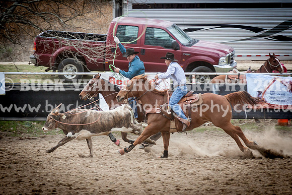 Saturday Cowboys -346