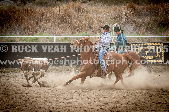 Saturday Cowboys -347