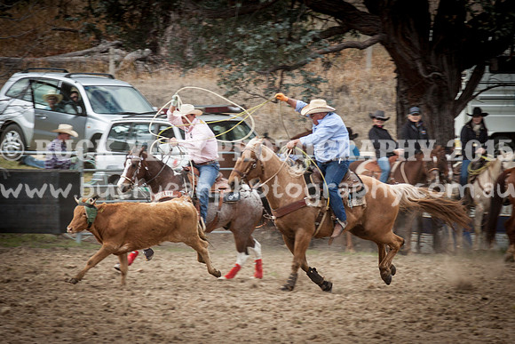 Saturday Cowboys -350