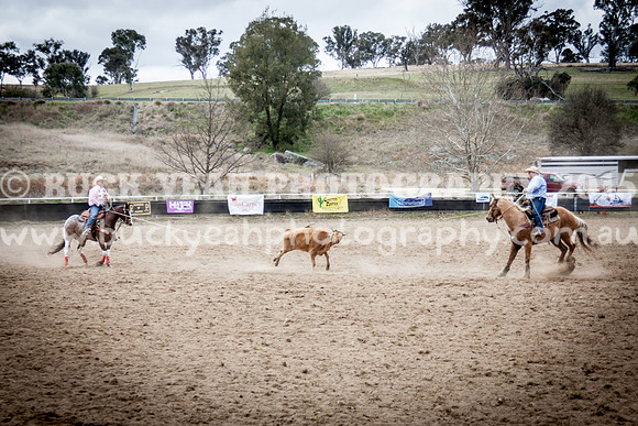 Saturday Cowboys -354