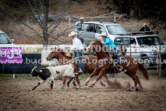 Saturday Cowboys -363