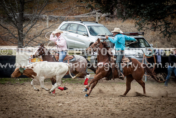 Saturday Cowboys -368