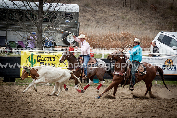 Saturday Cowboys -370