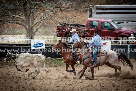 Saturday Cowboys -373