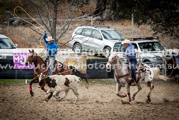 Saturday Cowboys -376