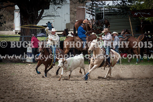 Saturday Cowboys -379