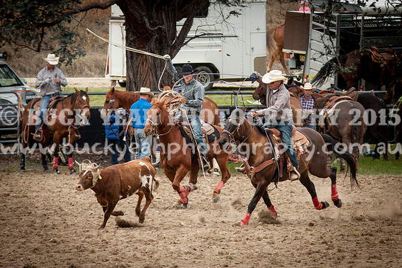 Saturday Cowboys -390