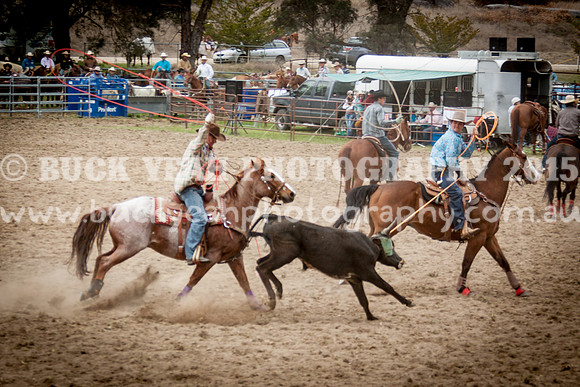 Saturday Cowboys -397