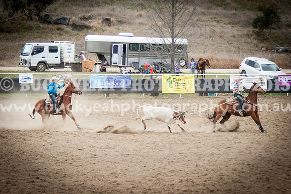 Saturday Cowboys -435