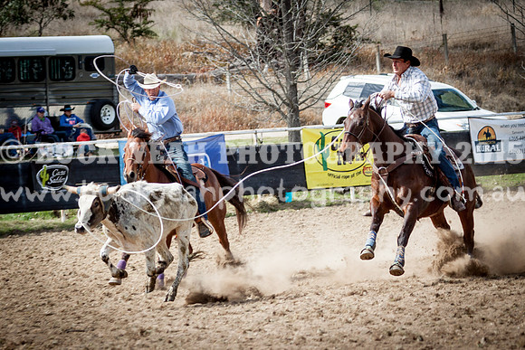 Saturday Cowboys -445