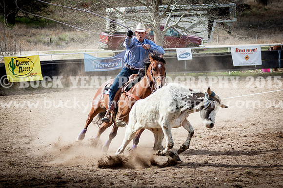 Saturday Cowboys -447