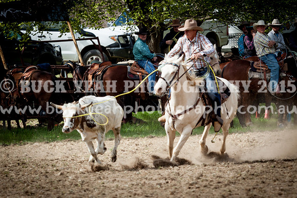 Saturday Cowboys -448