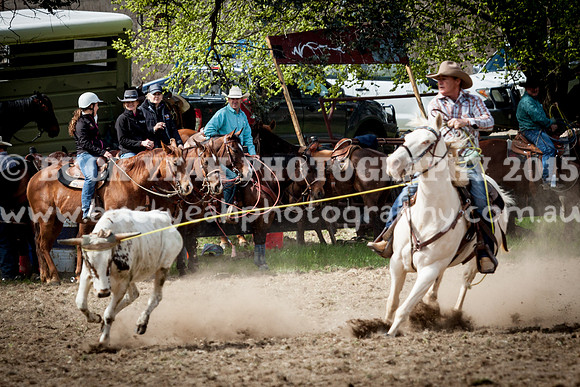 Saturday Cowboys -449