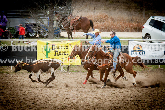Saturday Cowboys -460