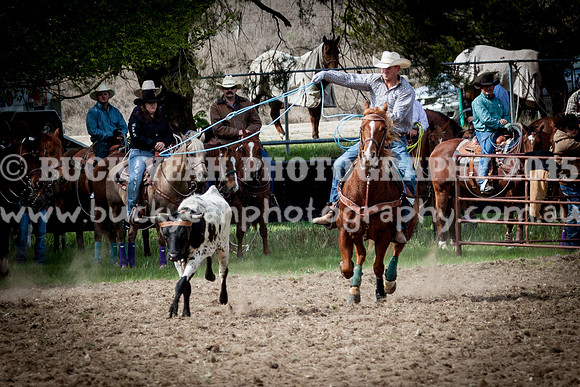 Saturday Cowboys -466