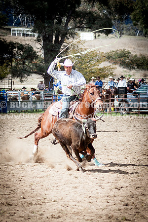 Saturday Cowboys -470