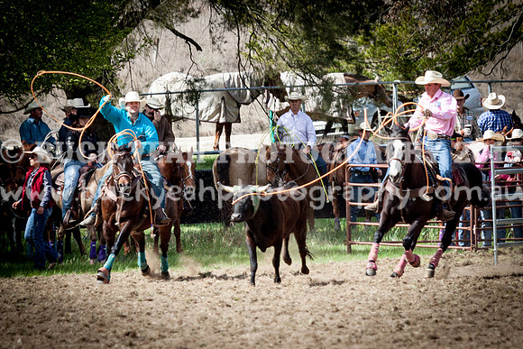 Saturday Cowboys -473