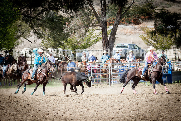 Saturday Cowboys -475