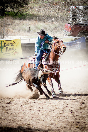 Saturday Cowboys -480