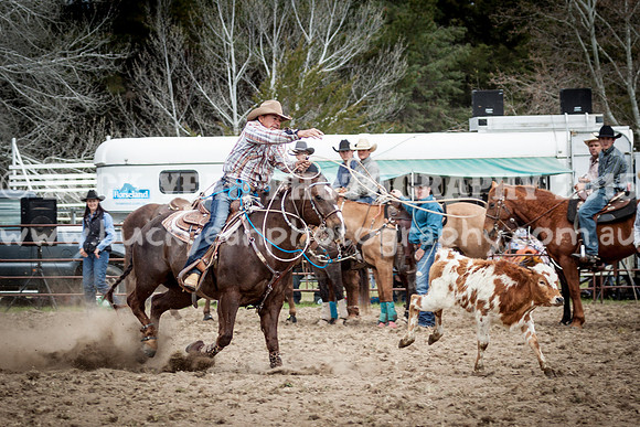 Saturday Cowboys -488