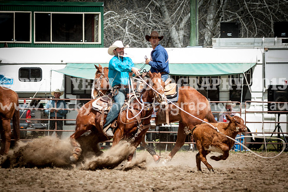 Saturday Cowboys -499